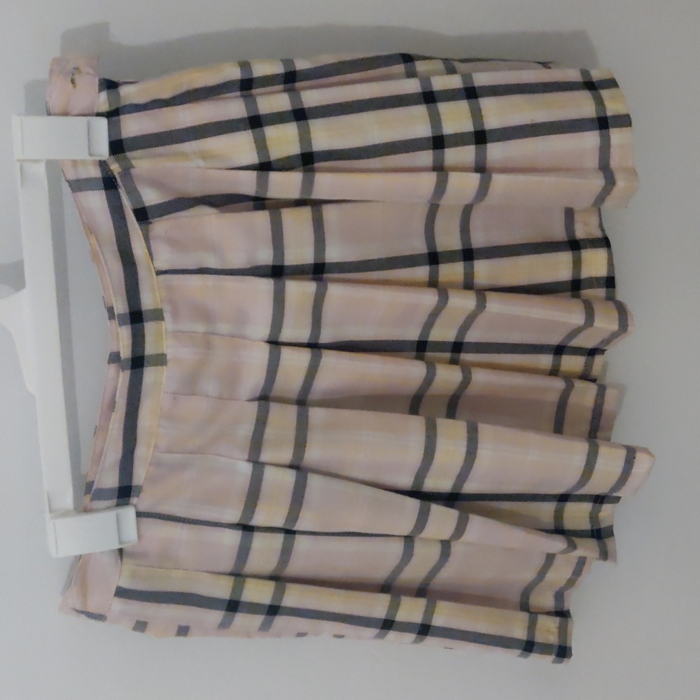 Pleated Skirt